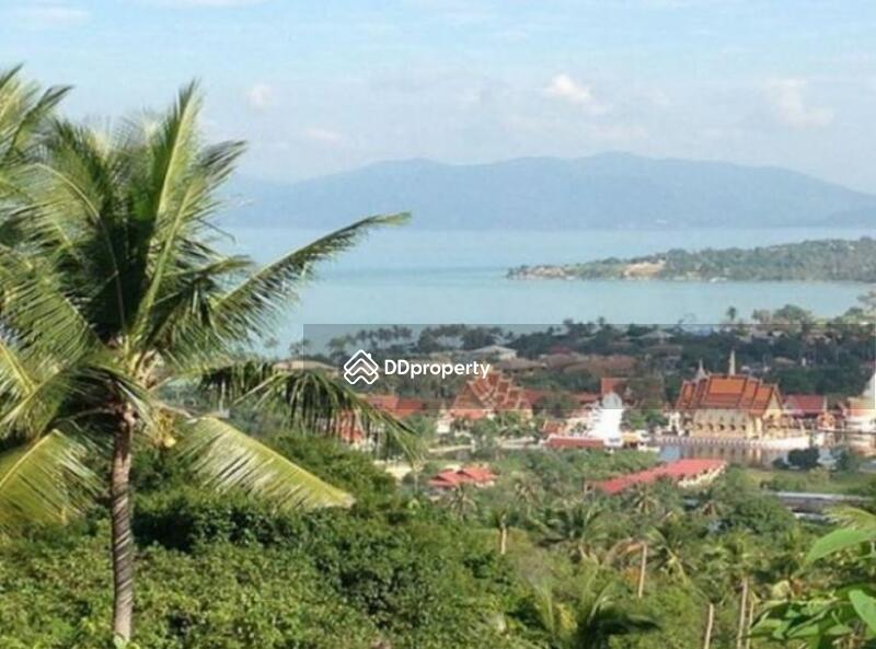 For Rent - The Ridge, Surat Thani