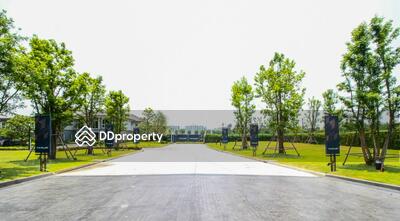 - The Plant Pakkred : เดอะ แพลนท์ ปากเกร็ด