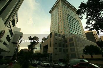 Orchard Paragon