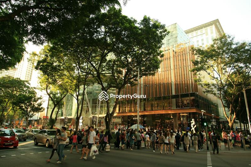 Orchard Paragon #0