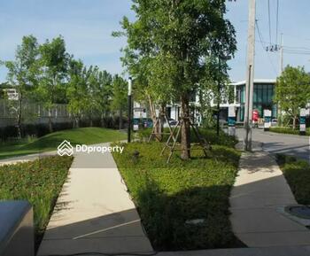 The City Ngamwongwan : เดอะ ซิตี้ งามวงศ์วาน
