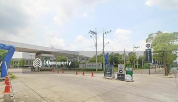 The Plant Citi Chaengwatthana : เดอะ แพลนท์ ซิตี้ แจ้งวัฒนะ