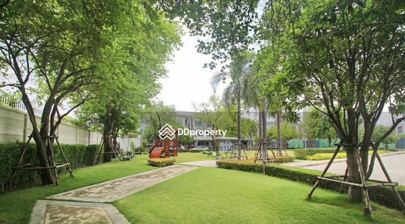 For Rent - The Plant Citi Chaengwatthana, Nonthaburi