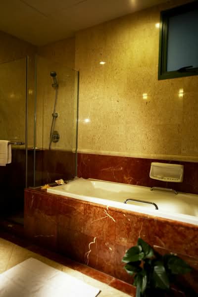 Robertson Walk, 11 Unity Street, 1,500 sqft, Food & Beverage For Rent, by Canny Ong, 500057729 - Bathroom with bathtub - CommercialGuru.com.sg