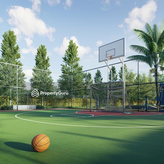 Basketball/Multi-purpose court
