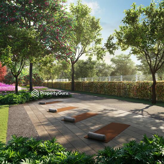 Yoga Deck
