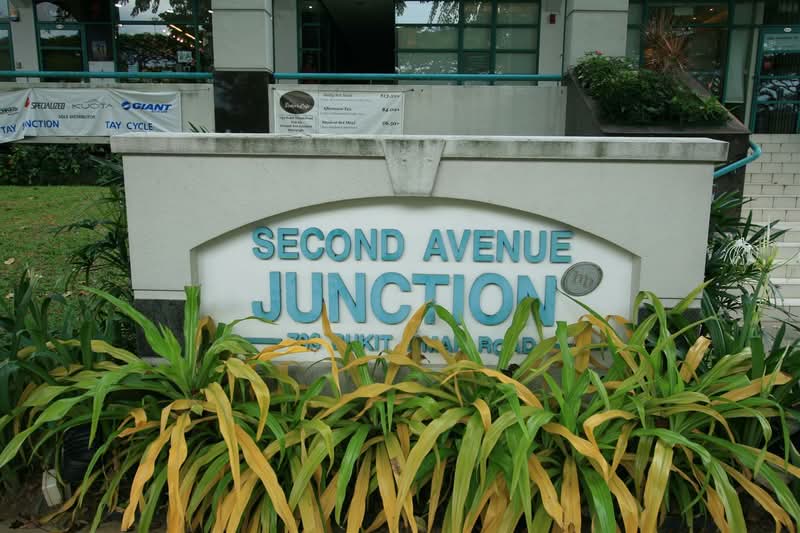 Second Avenue Junction, 733 Bukit Timah Road, 883 sqft, Other Retail For Rent, by Melvin Tang, 21147066 - CommercialGuru.com.sg