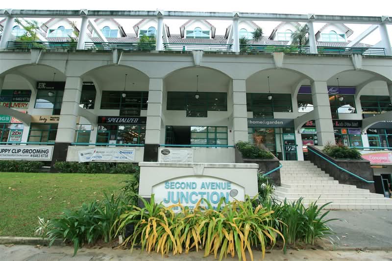 Second Avenue Junction, 733 Bukit Timah Road, 883 sqft, Other Retail For Rent, by Melvin Tang, 21147066 - CommercialGuru.com.sg