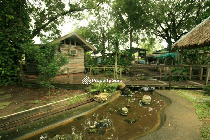 For Rent - Seletar West Farmway
