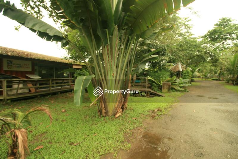 For Rent - Seletar West Farmway