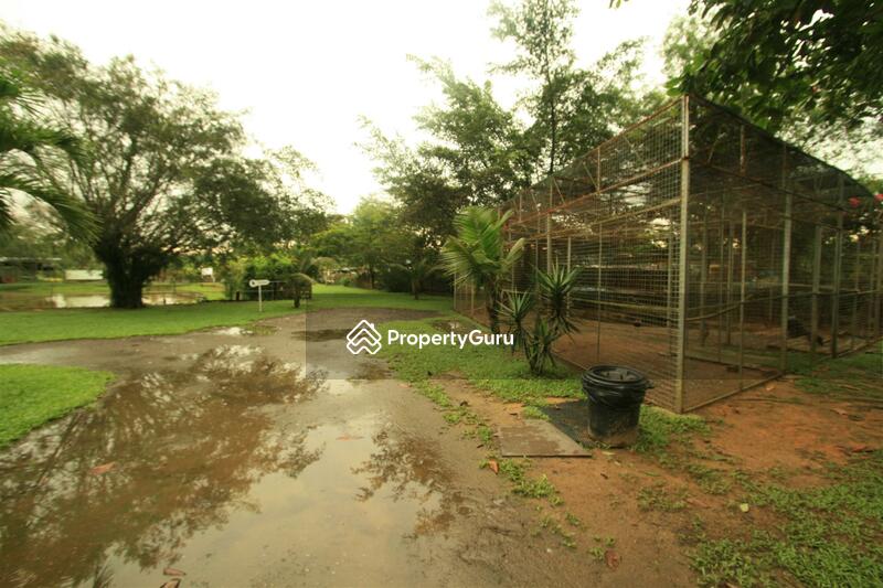 For Rent - Seletar West Farmway