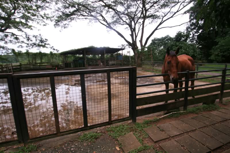 Seletar West Farmway