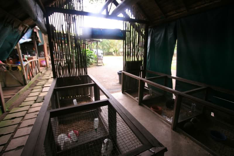 Seletar West Farmway