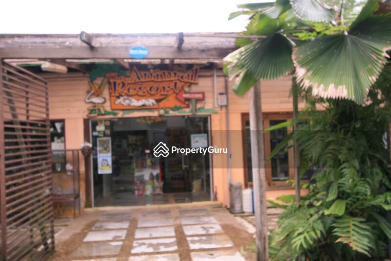 For Rent - Seletar West Farmway