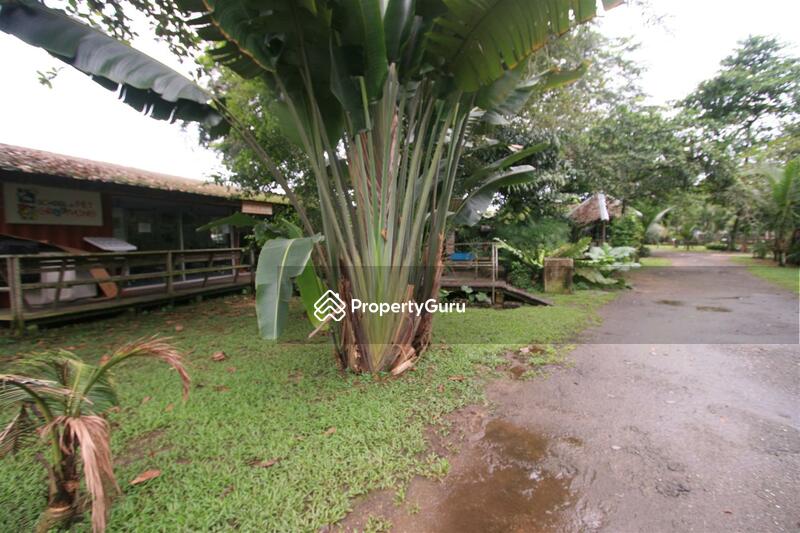 For Rent - Seletar West Farmway