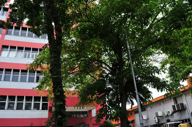 Singapore Handicraft Building