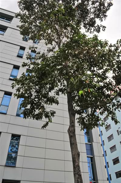 SYH Logistic Building, 68 Kallang Pudding Road, 1,923 sqft, Light Industrial (B1) For Rent, by Vinay Gulab Khanchandani ( Vincent ), 500069540 - CommercialGuru.com.sg