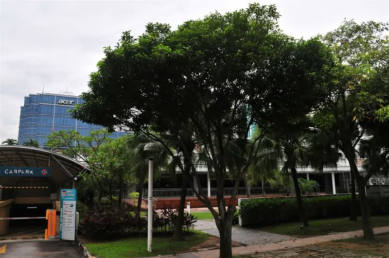 The Atrium