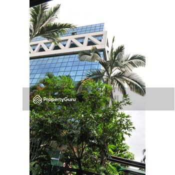 The Blue Building