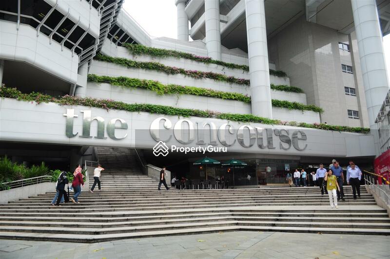 The Concourse 