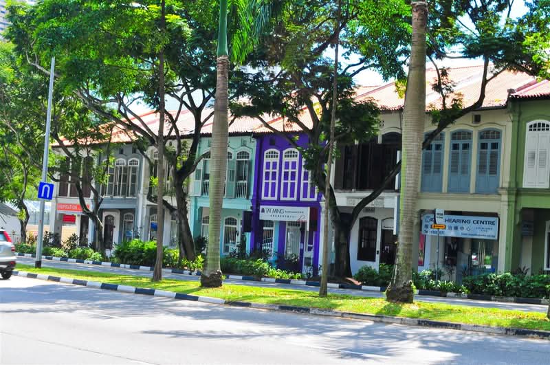 Bukit Pasoh Shop House