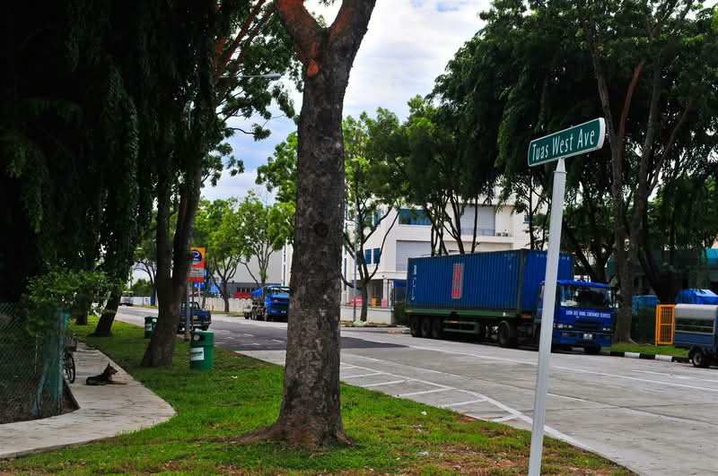 Tuas West Avenue Warehouse, Tuas West Avenue, 70,000 sqft, Factory / Workshop (B2) For Rent, by Jerry Lin, 21566467 - CommercialGuru.com.sg