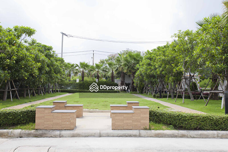 For Rent - Panasiri Residences Kaset - Nawamin, Bangkok