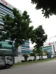 Tye Soon Building #0