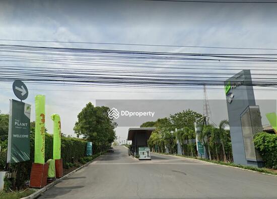 ขาย - The Plant Rangsit Klong 4-Wongwaen : เดอะ แพลนท์ รังสิต คลอง 4-วงแหวน, ปทุมธานี