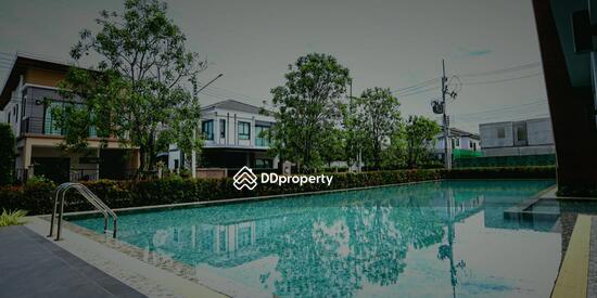 ขาย - The Plant Rangsit Klong 4-Wongwaen : เดอะ แพลนท์ รังสิต คลอง 4-วงแหวน, ปทุมธานี