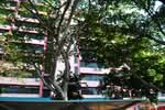 Yi Xiu Factory Building #0