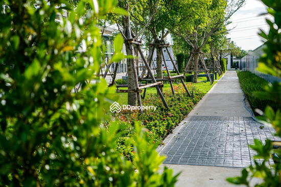 ขาย - Baanfah Greenery Loft : บ้านฟ้า กรีนเนอรี่ ลอฟท์ พัทยาเหนือ, ชลบุรี