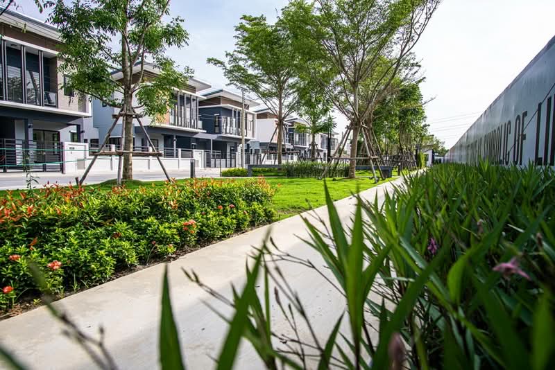 Baanfah Greenery Loft