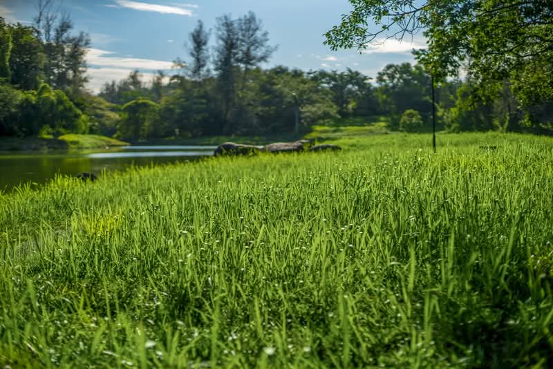 Bayu Lakehomes - iProperty.com.my