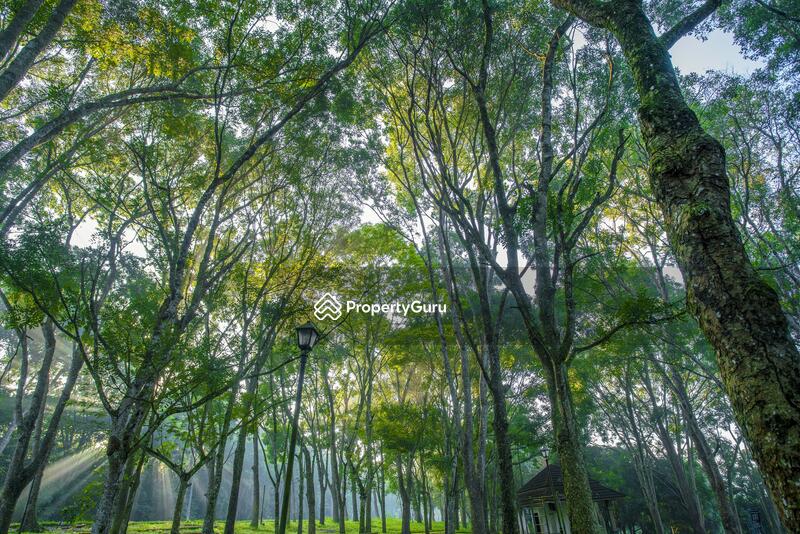 For Sale - Bayu Lakehomes