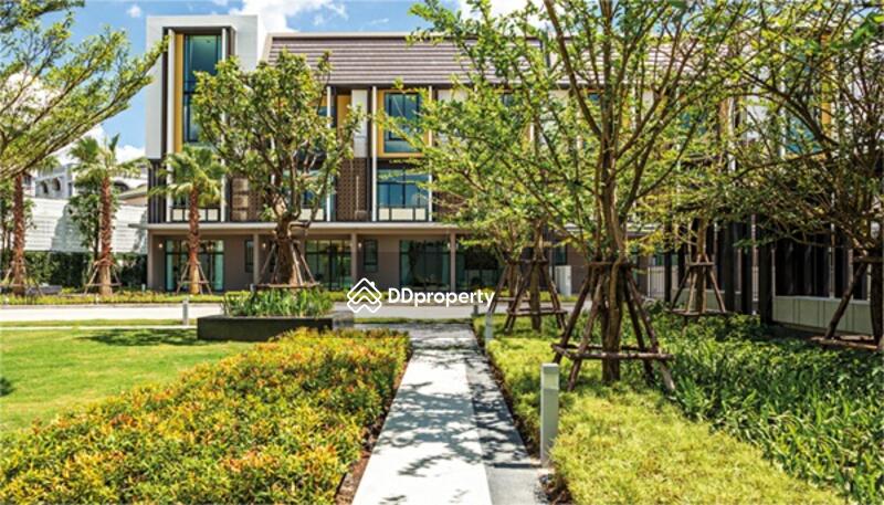 For Rent - Flora Wongsawang, Nonthaburi