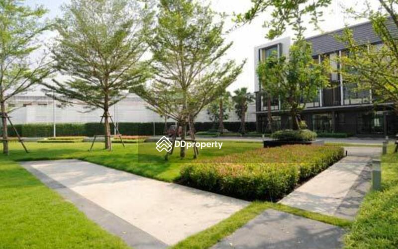 For Rent - Flora Wongsawang, Nonthaburi