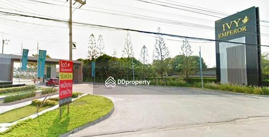 For Sale - Ivy Emperor, Chon Buri