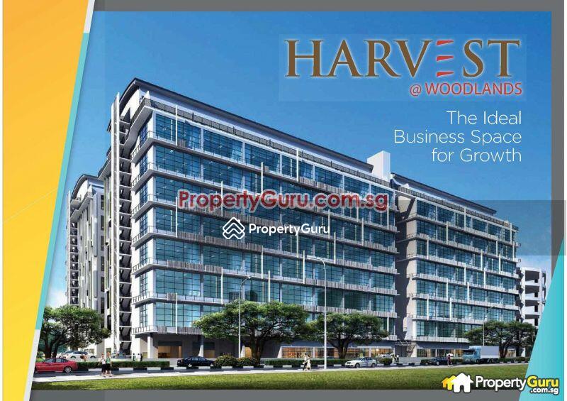 For Rent - Harvest @ Woodlands