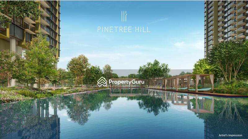 Pinetree Hill #0