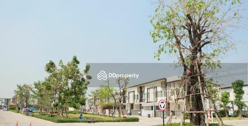 For Rent - Gusto Rama 2, Bangkok