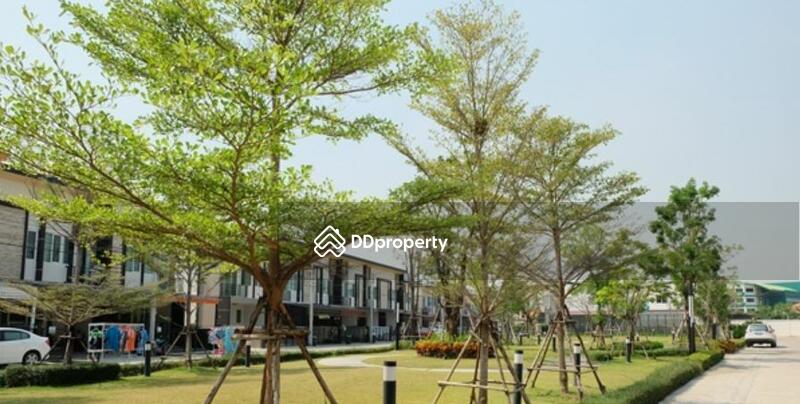 For Rent - Gusto Rama 2, Bangkok