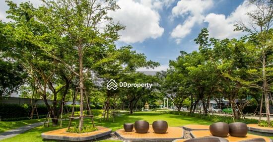 For Sale - Viranya Wongwaen-Onnut, Bangkok