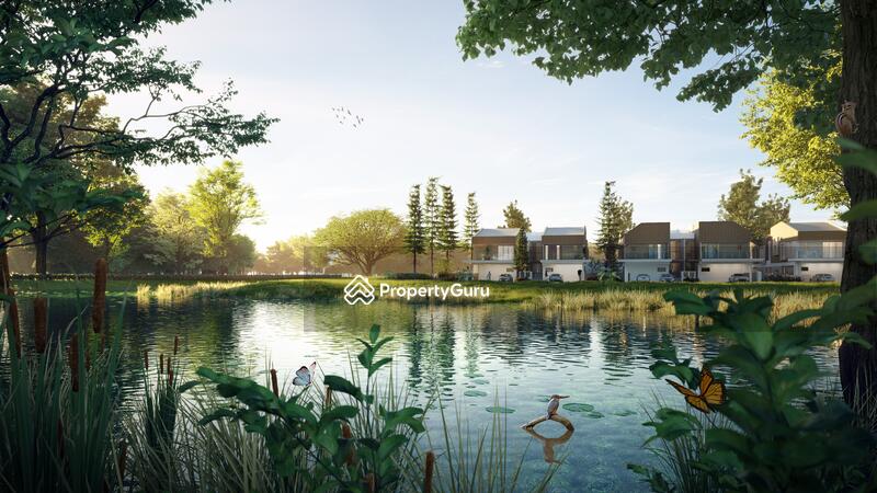 For Sale - Mori Pines