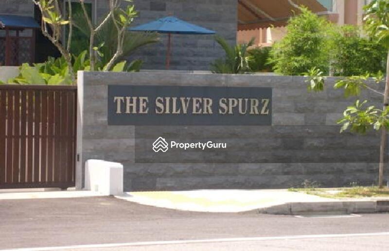 The Silver Spurz #0