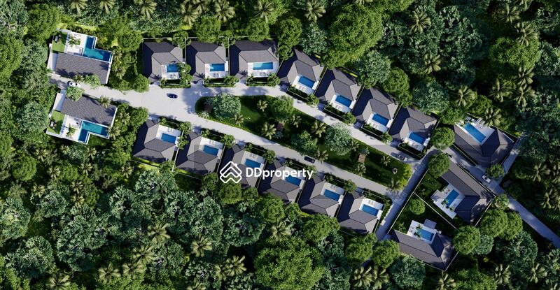 For Rent - See, Surat Thani
