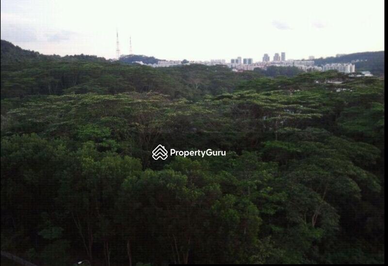 For Rent - Eco Sanctuary