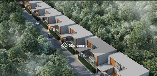 ขาย - Alisa Pool Villas : อลิสา พูล วิลล่า, ภูเก็ต