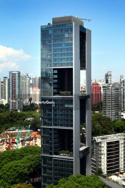 Elevated View