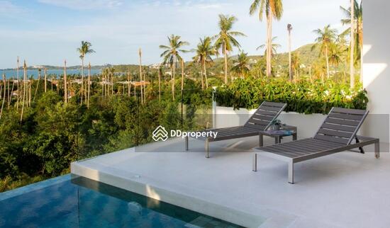 ขาย - Paragon Villas : พารากอน วิลล่า, สุราษฎร์ธานี
